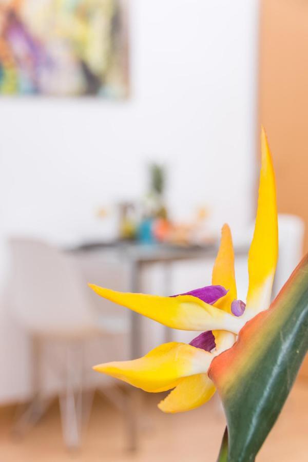 Apartamentos Bolsa Larios Malaga Bagian luar foto
